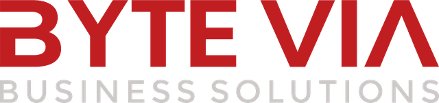 Byte Via Business Solutions